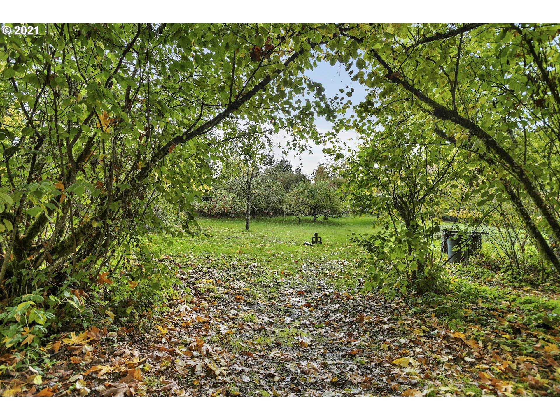 212 Northeast 253rd Street Ridgefield, WA 98642 - Photo 26 of 28 a view of a green field with lots of bushes