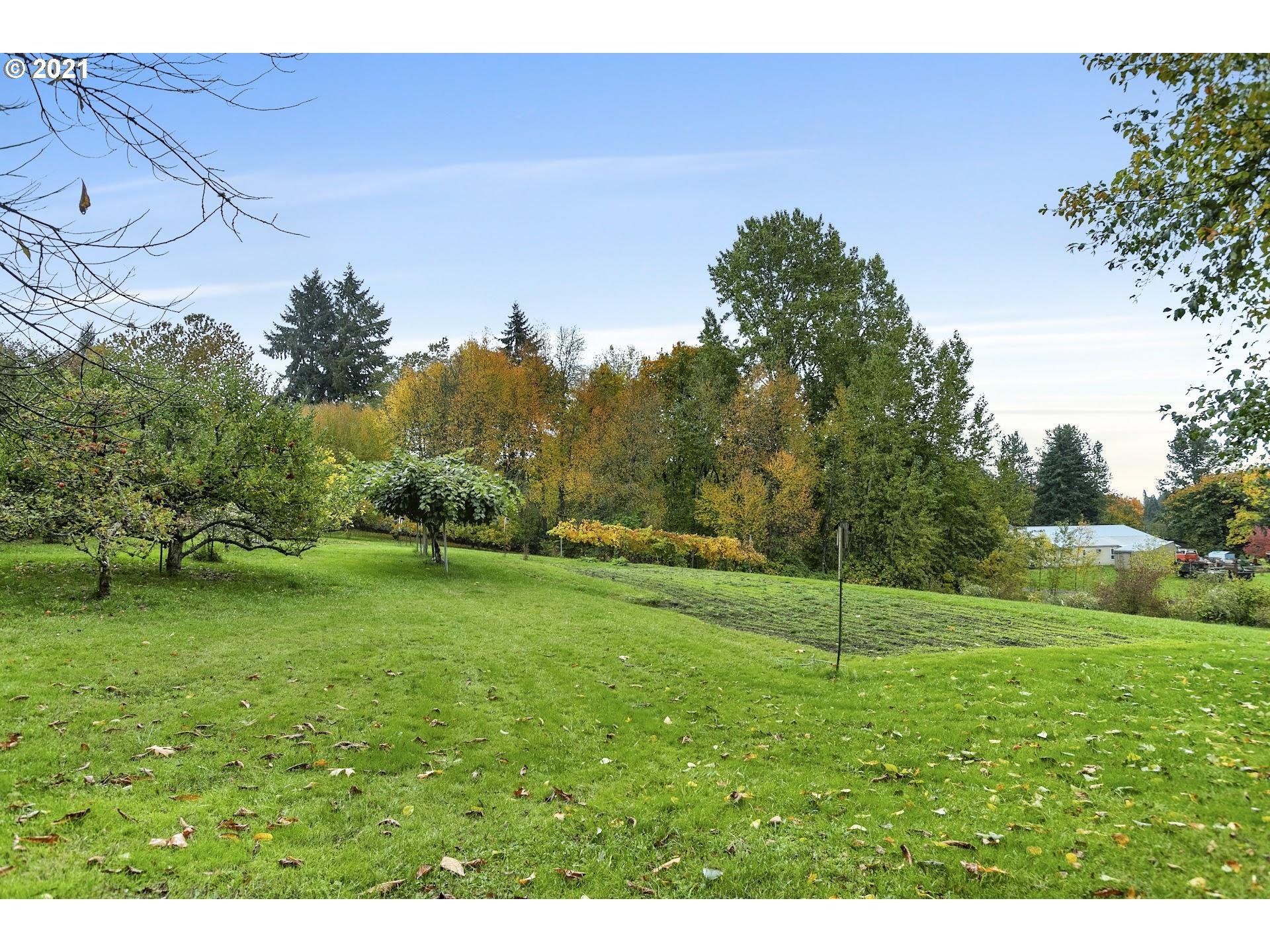 212 Northeast 253rd Street Ridgefield, WA 98642 - Photo 27 of 28 a backyard of a house with lots of green space