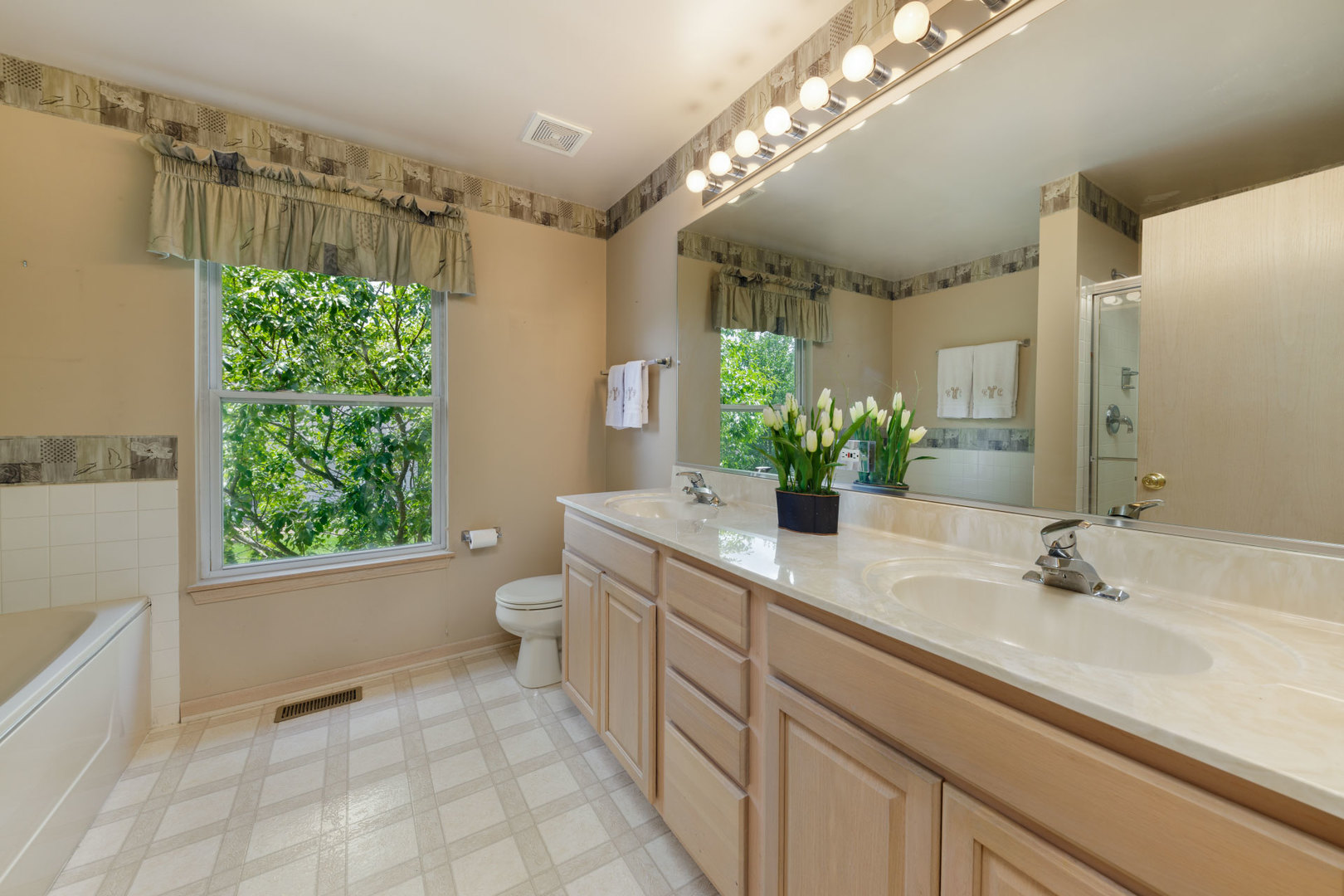 11654 Olympic Drive Plainfield, IL 60585 - Photo 16 of 25 a bathroom with a sink a large mirror and a bathtub