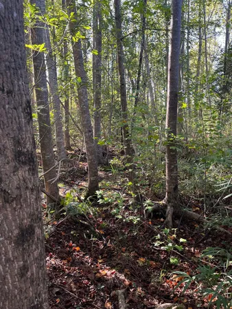 $63,500 | 18 Payne Pond Road, Unit PPF 18, Kershaw, SC 29067