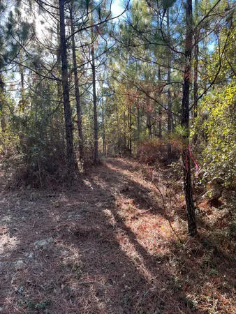$63,500 | 18 Payne Pond Road, Unit PPF 18, Kershaw, SC 29067