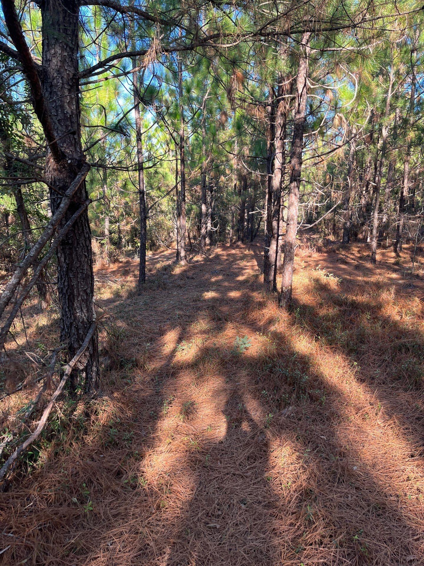 18 Payne Pond Road, Unit PPF 18 Kershaw, SC 29067 - Photo 12 of 18 7-Oct 15 2025 08_33pm-wDX1