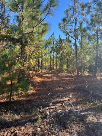 $63,500 | 18 Payne Pond Road, Unit PPF 18, Kershaw, SC 29067