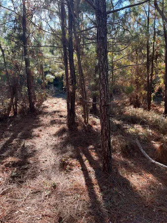 $63,500 | 18 Payne Pond Road, Unit PPF 18, Kershaw, SC 29067