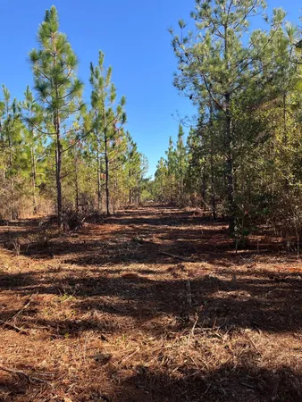 $63,500 | 18 Payne Pond Road, Unit PPF 18, Kershaw, SC 29067