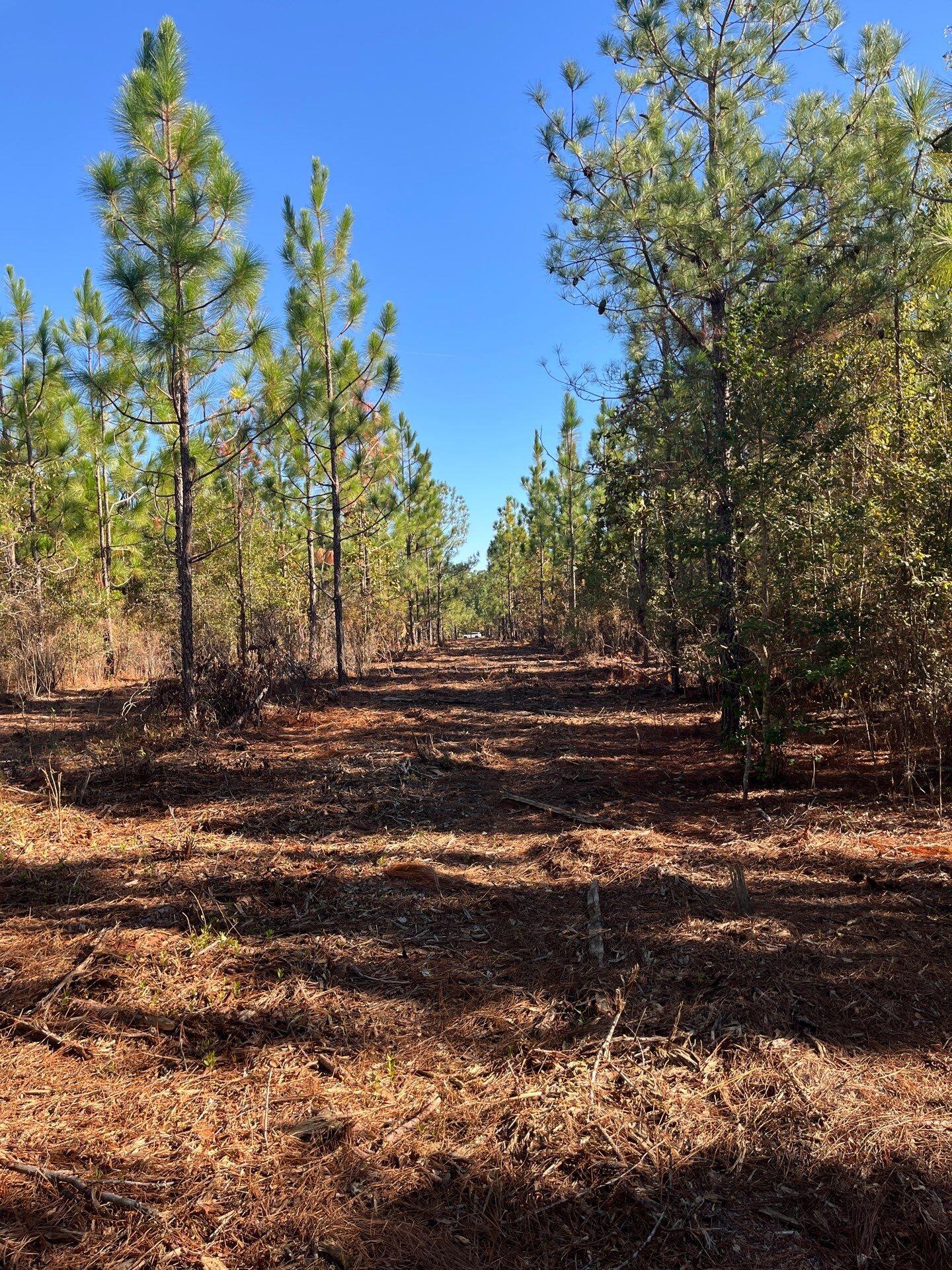 18 Payne Pond Road, Unit PPF 18 Kershaw, SC 29067 - Photo 16 of 18 3-Oct 15 2025 08_28pm-V9vN