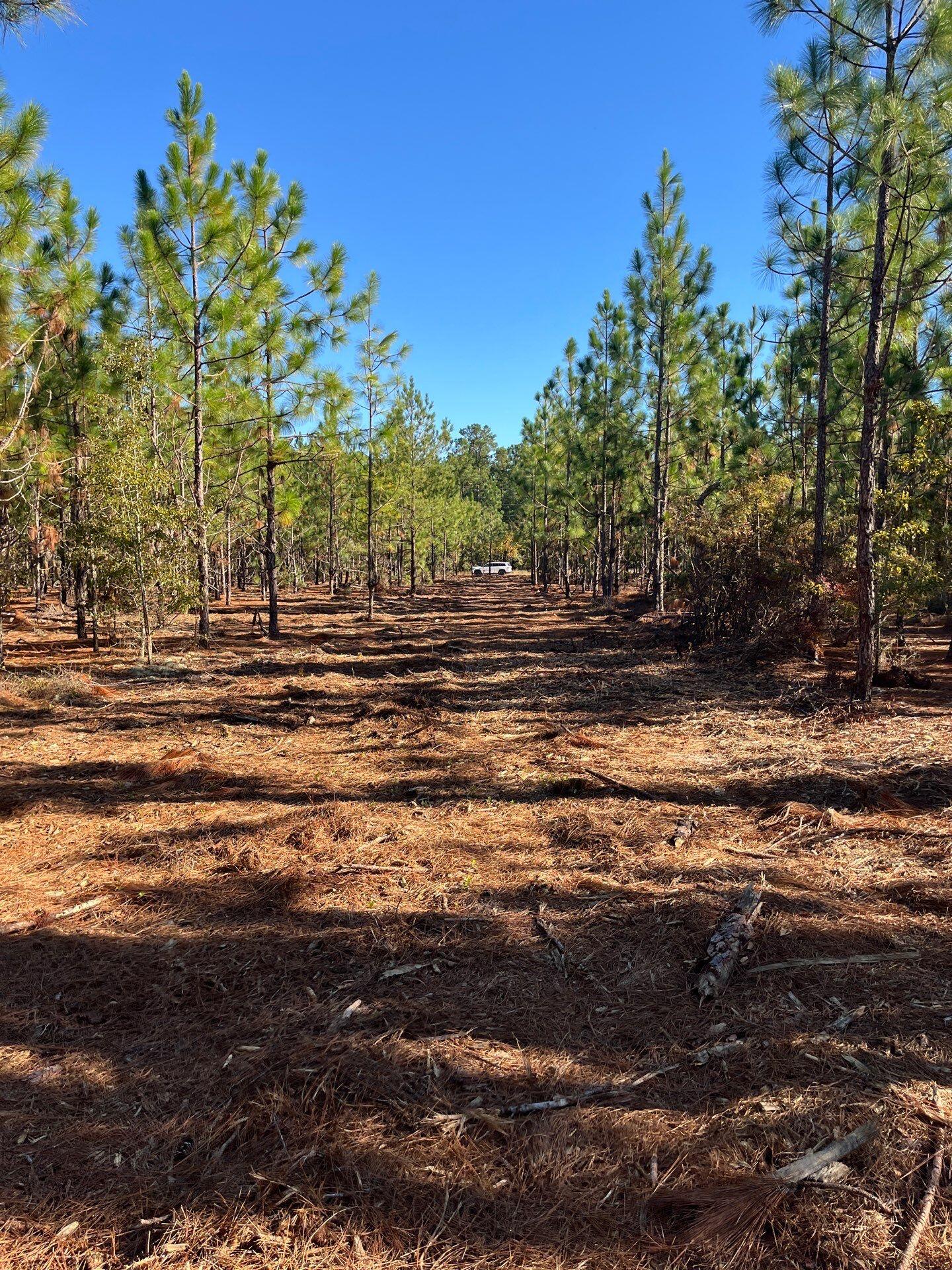 18 Payne Pond Road, Unit PPF 18 Kershaw, SC 29067 - Photo 17 of 18 2-Oct 15 2025 08_26pm-yimc