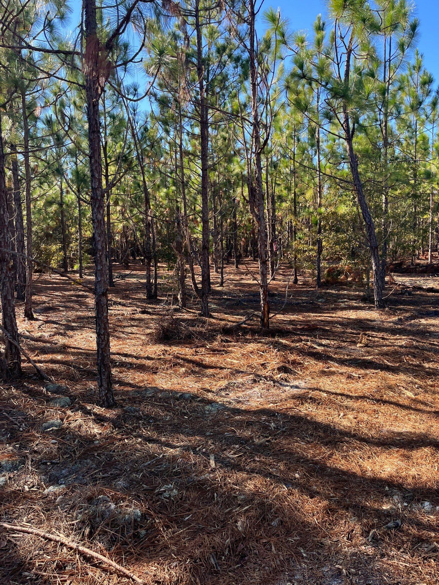 18 Payne Pond Road, Unit PPF 18 Kershaw, SC 29067 - Photo 18 of 18 PPF 10-1-Oct 15 2025 08_25pm-vk98