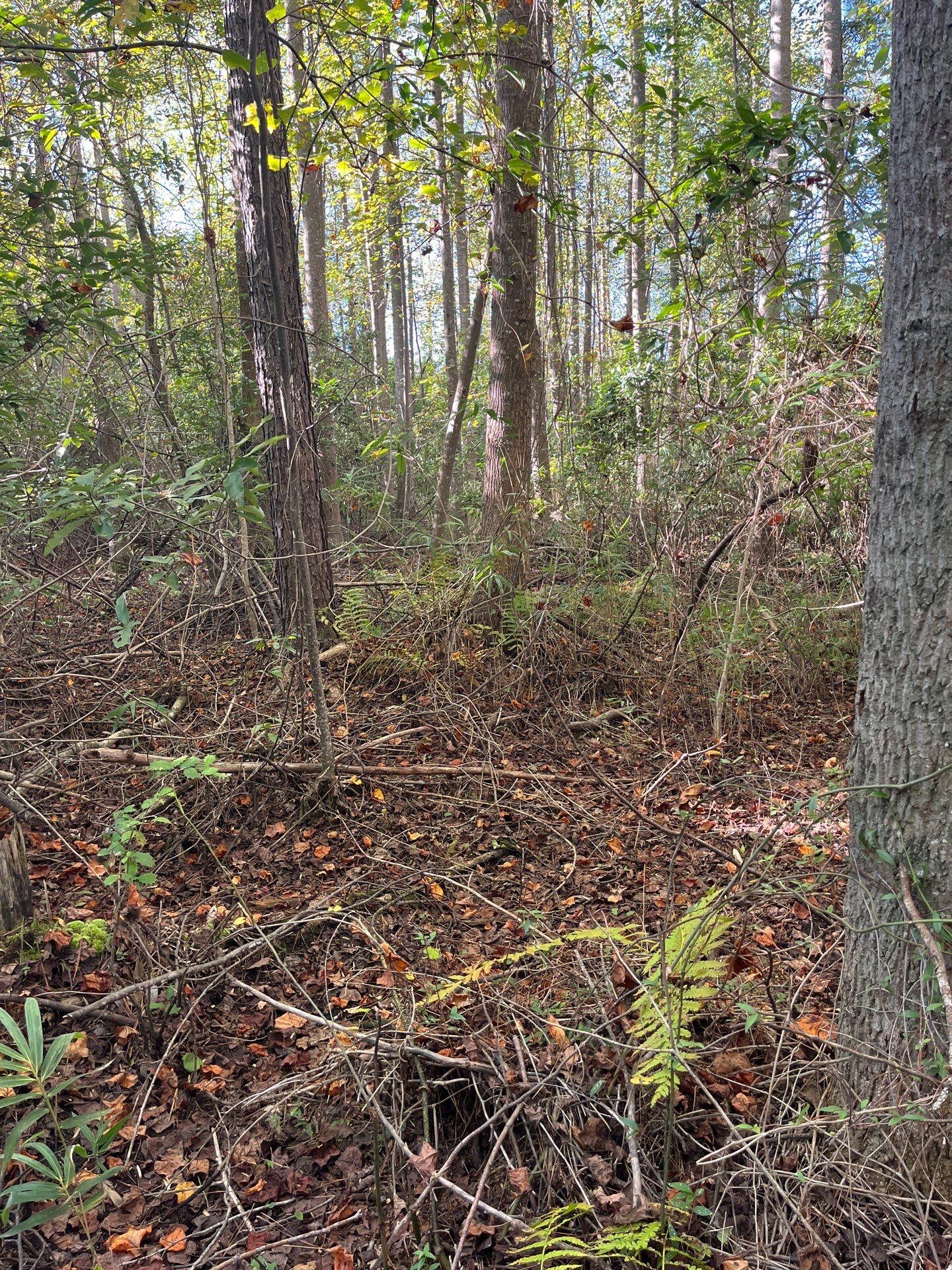 18 Payne Pond Road, Unit PPF 18 Kershaw, SC 29067 - Photo 2 of 18 17-Oct 15 2025 08_49pm-3Kfh