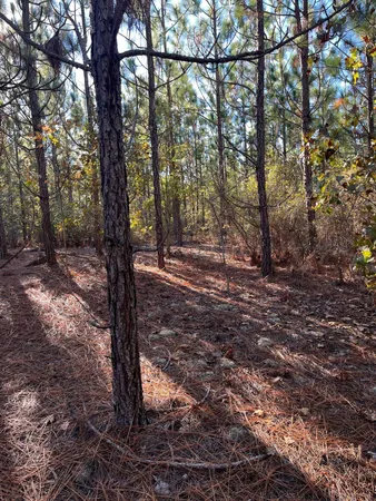 $63,500 | 18 Payne Pond Road, Unit PPF 18, Kershaw, SC 29067
