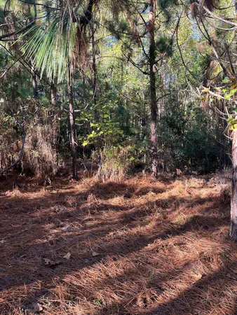 $63,500 | 18 Payne Pond Road, Unit PPF 18, Kershaw, SC 29067