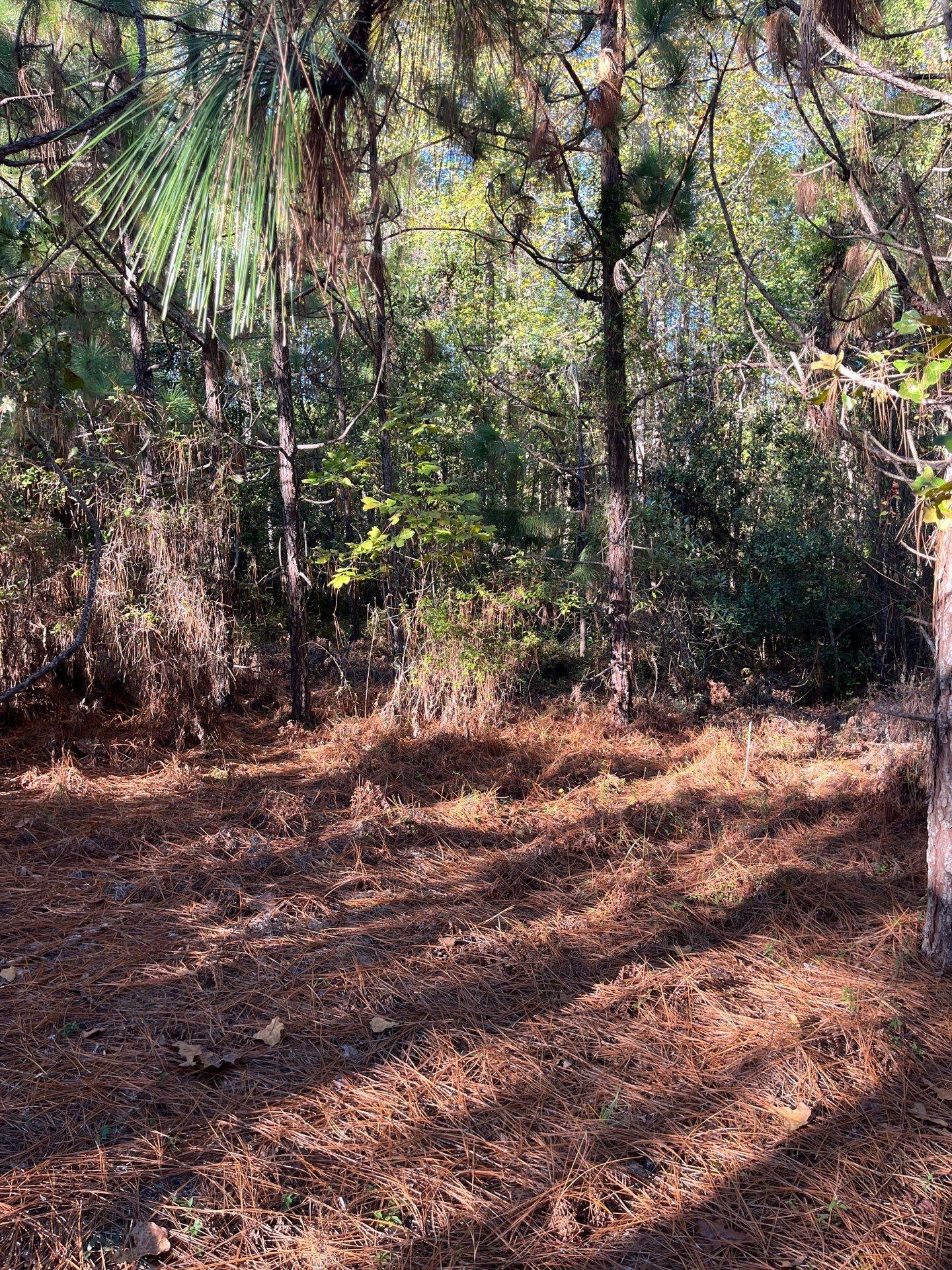 18 Payne Pond Road, Unit PPF 18 Kershaw, SC 29067 - Photo 4 of 18 15-Oct 15 2025 08_47pm-brx3