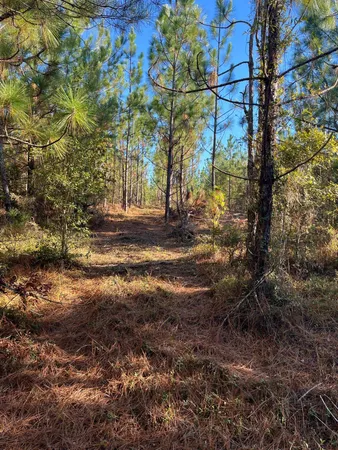 $63,500 | 18 Payne Pond Road, Unit PPF 18, Kershaw, SC 29067