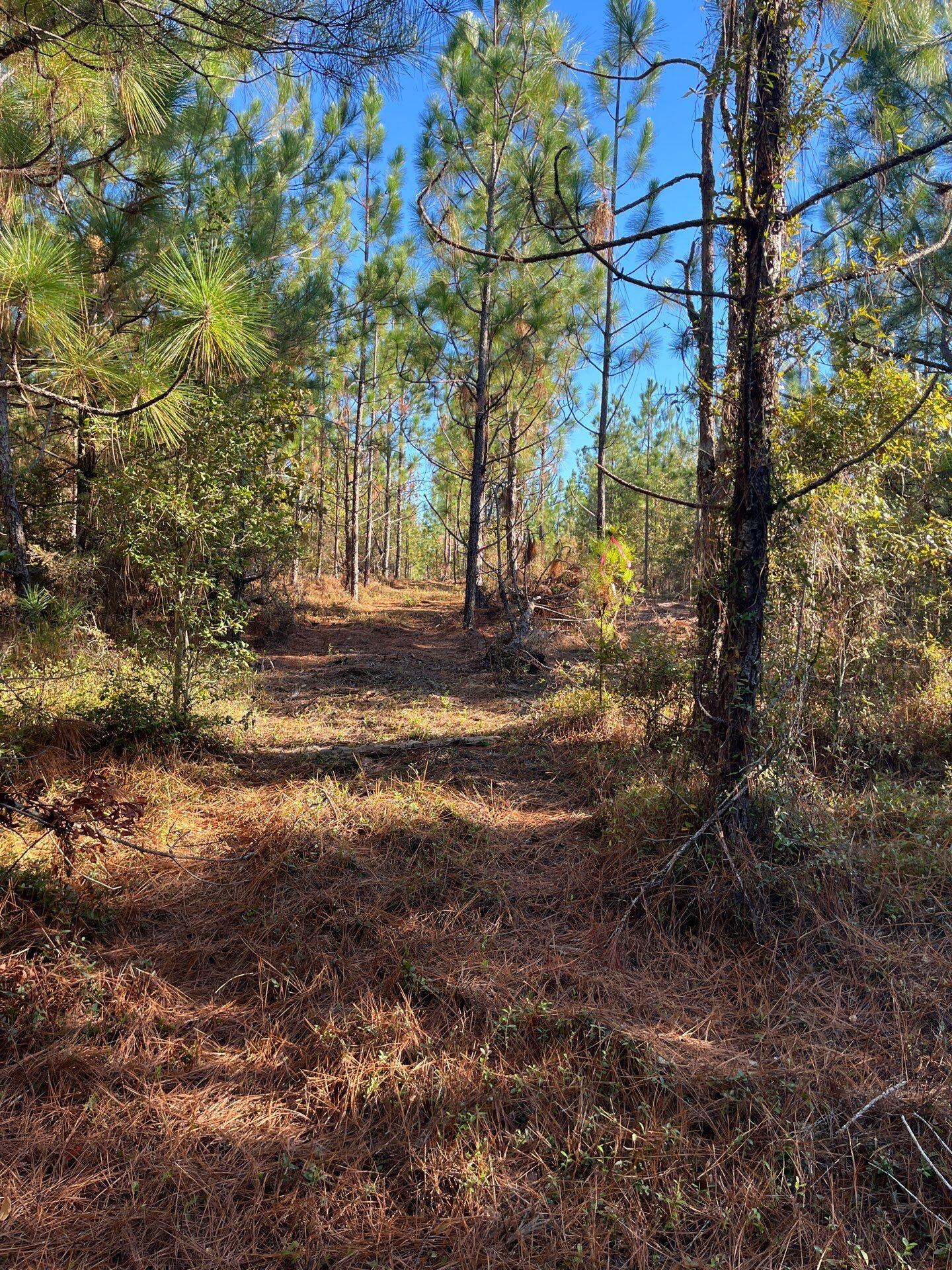 18 Payne Pond Road, Unit PPF 18 Kershaw, SC 29067 - Photo 5 of 18 14-Oct 15 2025 08_43pm-JUdV