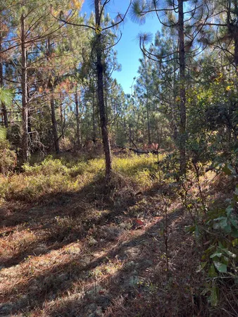 $63,500 | 18 Payne Pond Road, Unit PPF 18, Kershaw, SC 29067
