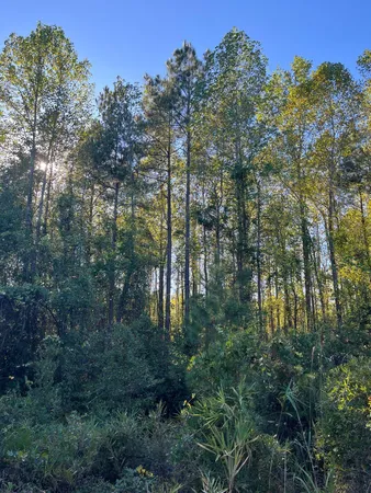 $63,500 | 18 Payne Pond Road, Unit PPF 18, Kershaw, SC 29067