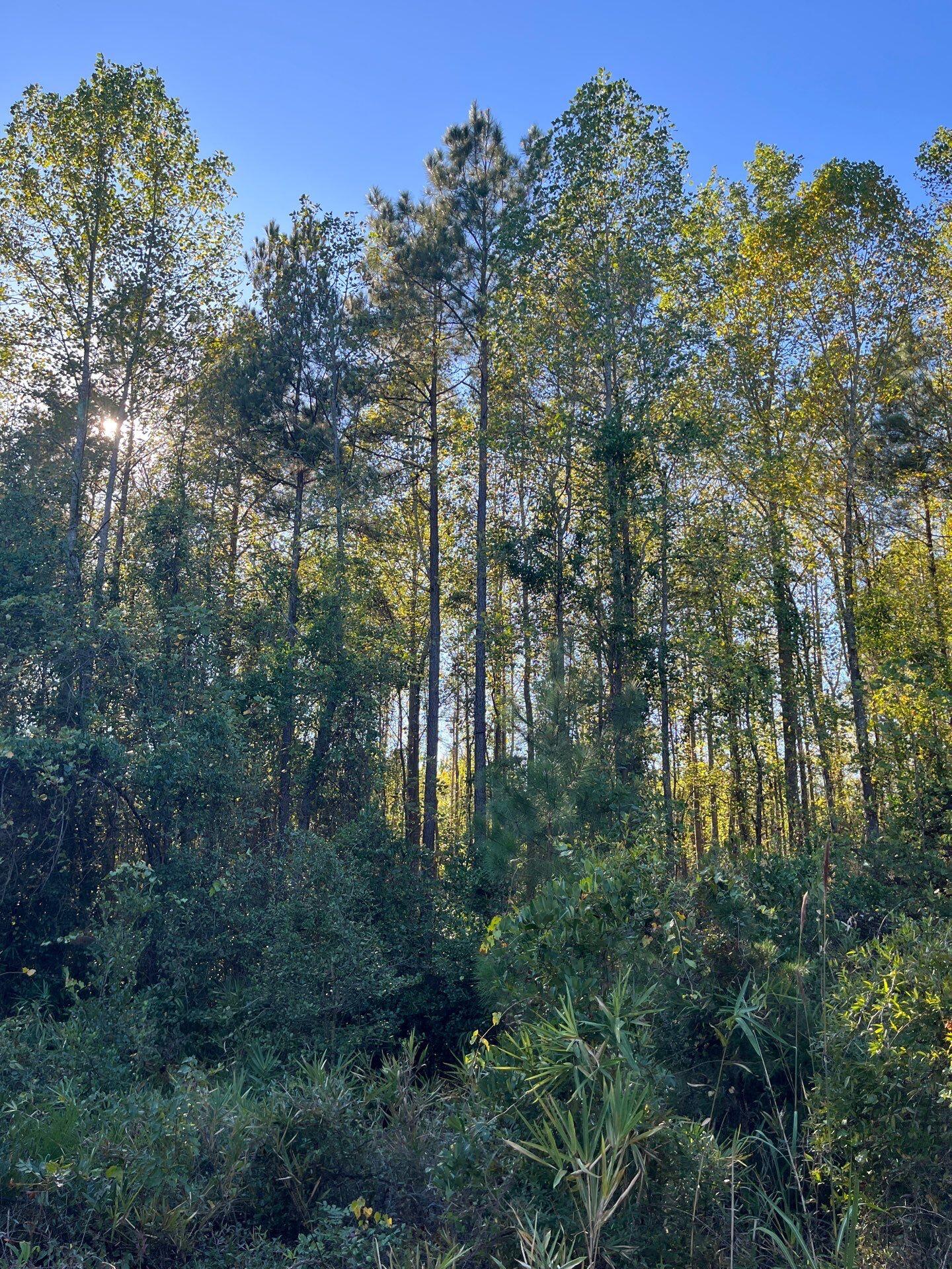 18 Payne Pond Road, Unit PPF 18 Kershaw, SC 29067 - Photo 8 of 18 11-Oct 15 2025 08_36pm-eZYv