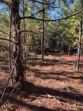 $63,500 | 18 Payne Pond Road, Unit PPF 18, Kershaw, SC 29067