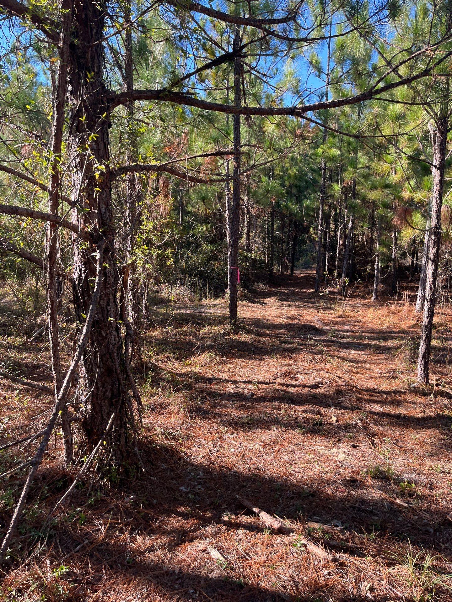 18 Payne Pond Road, Unit PPF 18 Kershaw, SC 29067 - Photo 9 of 18 10-Oct 15 2025 08_35pm-ovsA