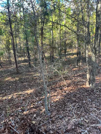 $63,500 | 18 Payne Pond Road, Unit PPF 18, Kershaw, SC 29067