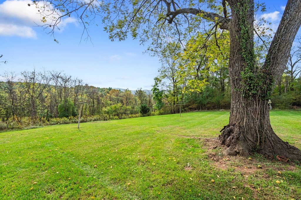 483 Store Hill Road Austinville, VA 24312 - Photo 44 of 52 Gallery Image 44
