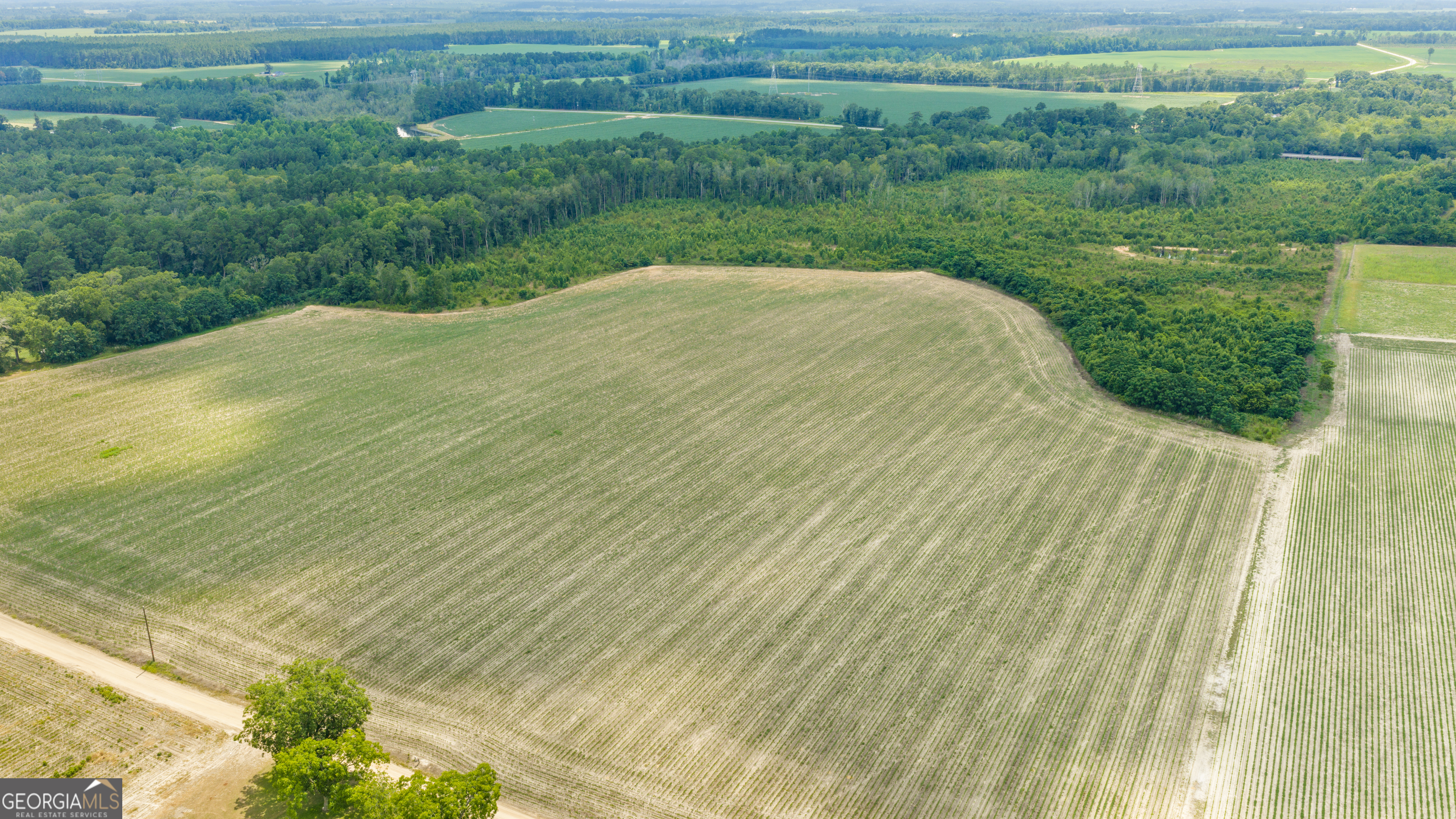 0 Wade Aycock Road Odum, GA 31555 - Photo 6 of 16