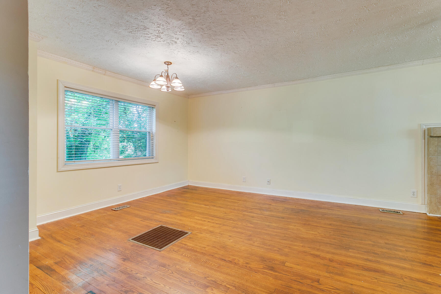 217 Gray Station Road Gray, TN 37615 - Photo 5 of 43 007