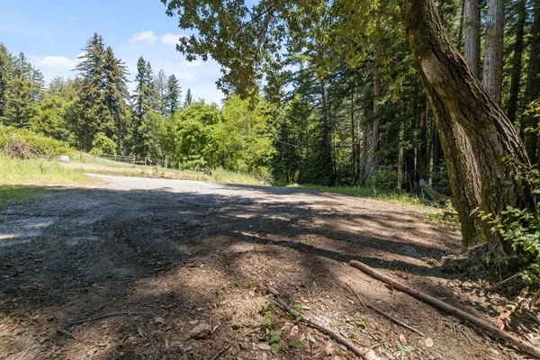 a view of a yard with large trees