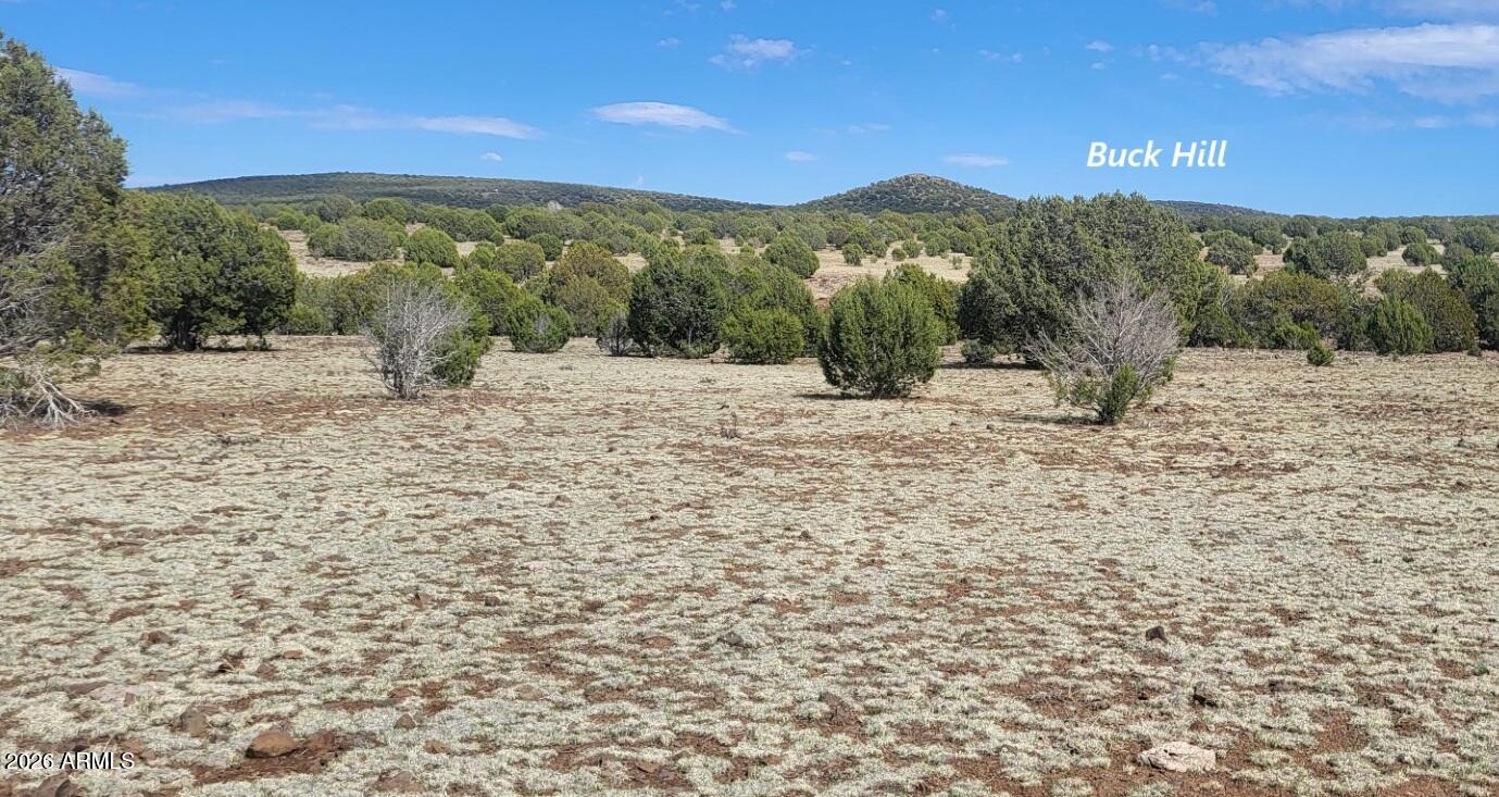 304 Olivas Alone Road, Unit 304 Williams, AZ 86046 - Photo 12 of 17 a view of a yard with a mountain