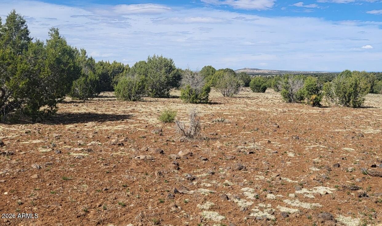 304 Olivas Alone Road, Unit 304 Williams, AZ 86046 - Photo 13 of 17