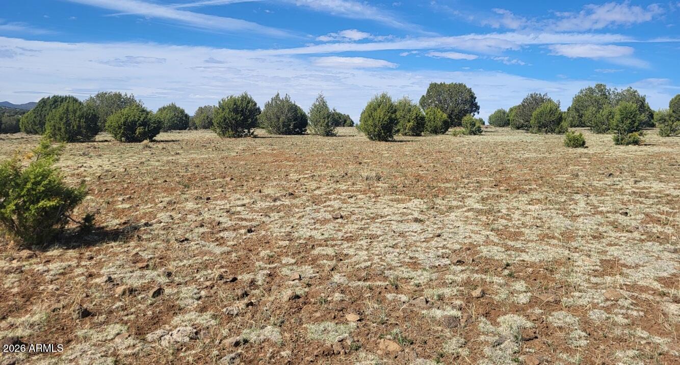 304 Olivas Alone Road, Unit 304 Williams, AZ 86046 - Photo 14 of 17 a view of a field with a tree in it