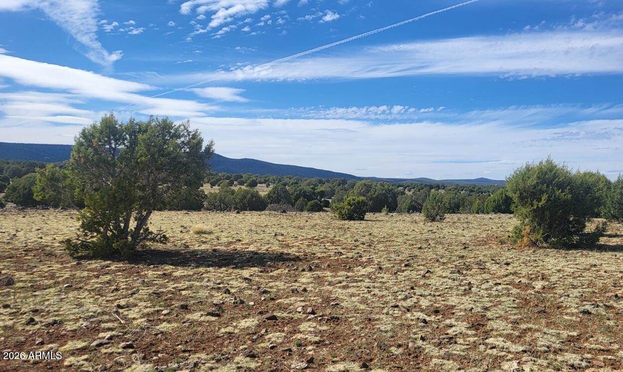 304 Olivas Alone Road, Unit 304 Williams, AZ 86046 - Photo 15 of 17 a view of a lake
