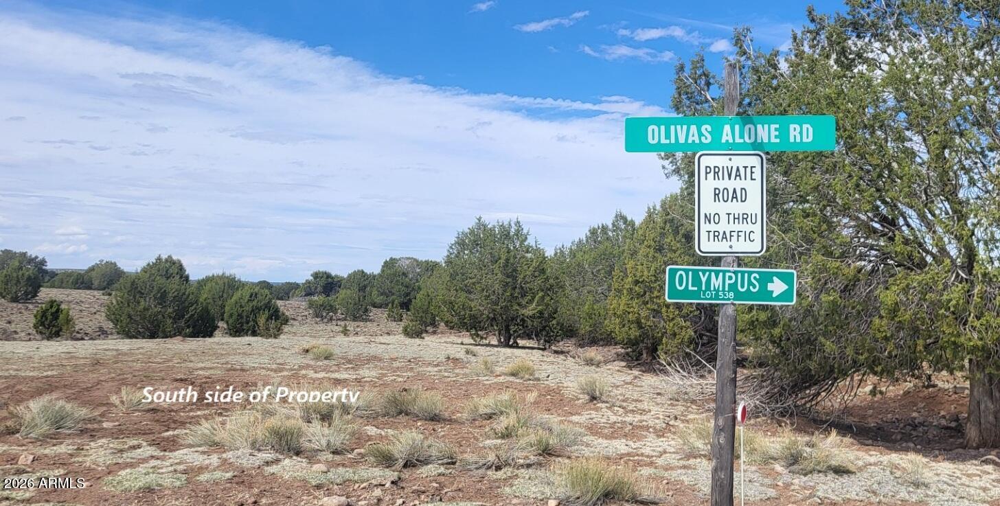 304 Olivas Alone Road, Unit 304 Williams, AZ 86046 - Photo 2 of 17 a street sign on a pole on a road
