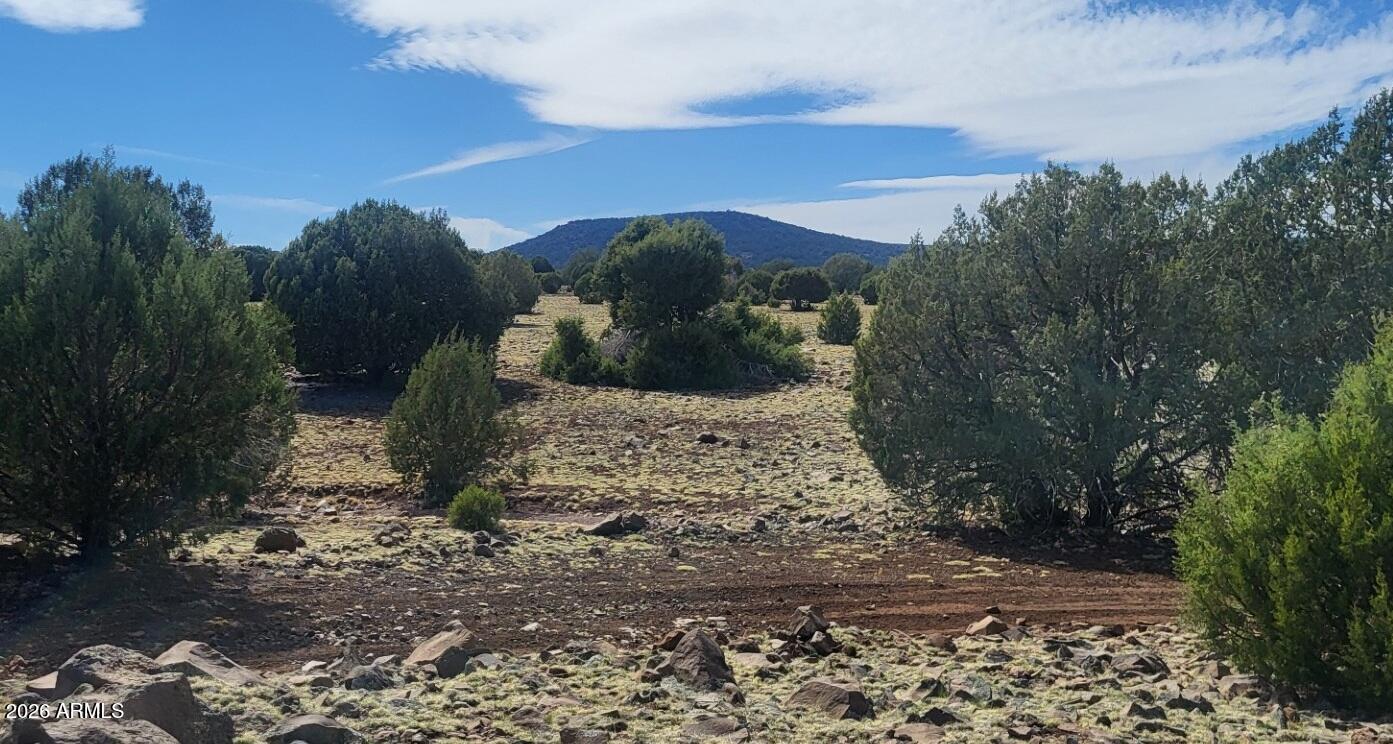 304 Olivas Alone Road, Unit 304 Williams, AZ 86046 - Photo 4 of 17 a view of a yard with mountain view