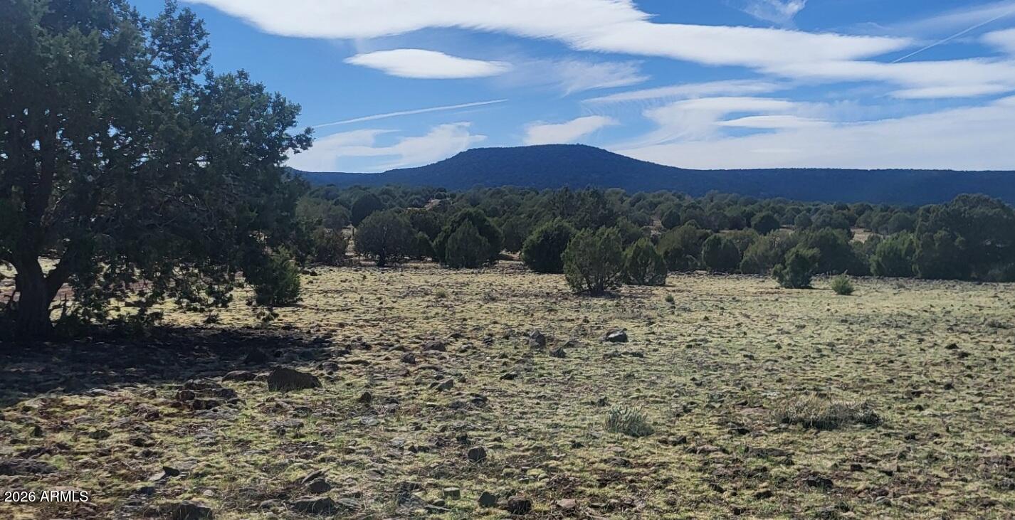 304 Olivas Alone Road, Unit 304 Williams, AZ 86046 - Photo 8 of 17 a view of a yard