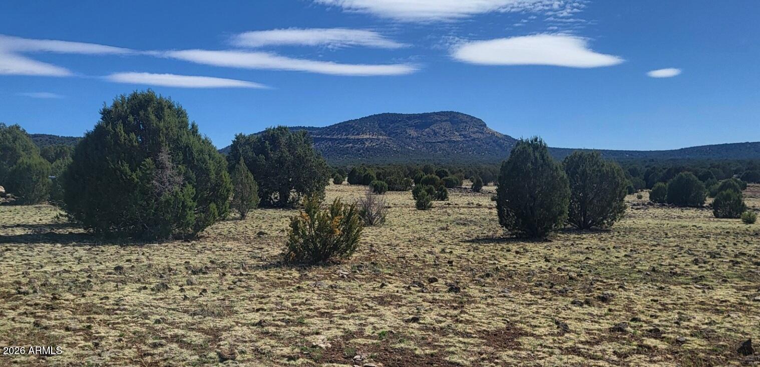 304 Olivas Alone Road, Unit 304 Williams, AZ 86046 - Photo 9 of 17 a view of a dry yard with wooden fence