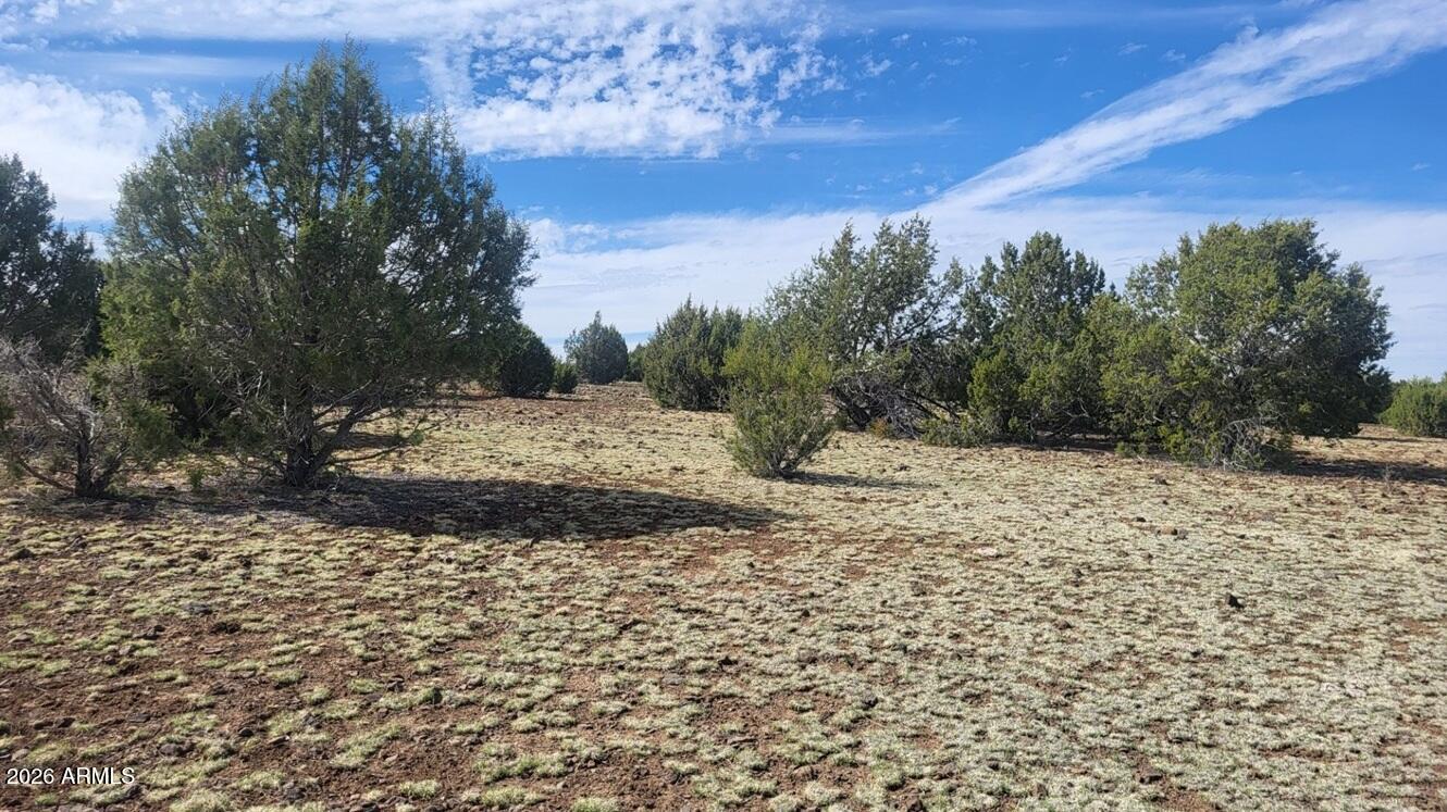 304 Olivas Alone Road, Unit 304 Williams, AZ 86046 - Photo 10 of 17 a view of a backyard of the house