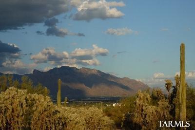 6200 West Ina Road Tucson, AZ 85743 - Photo 14 of 25 Gallery Image 14