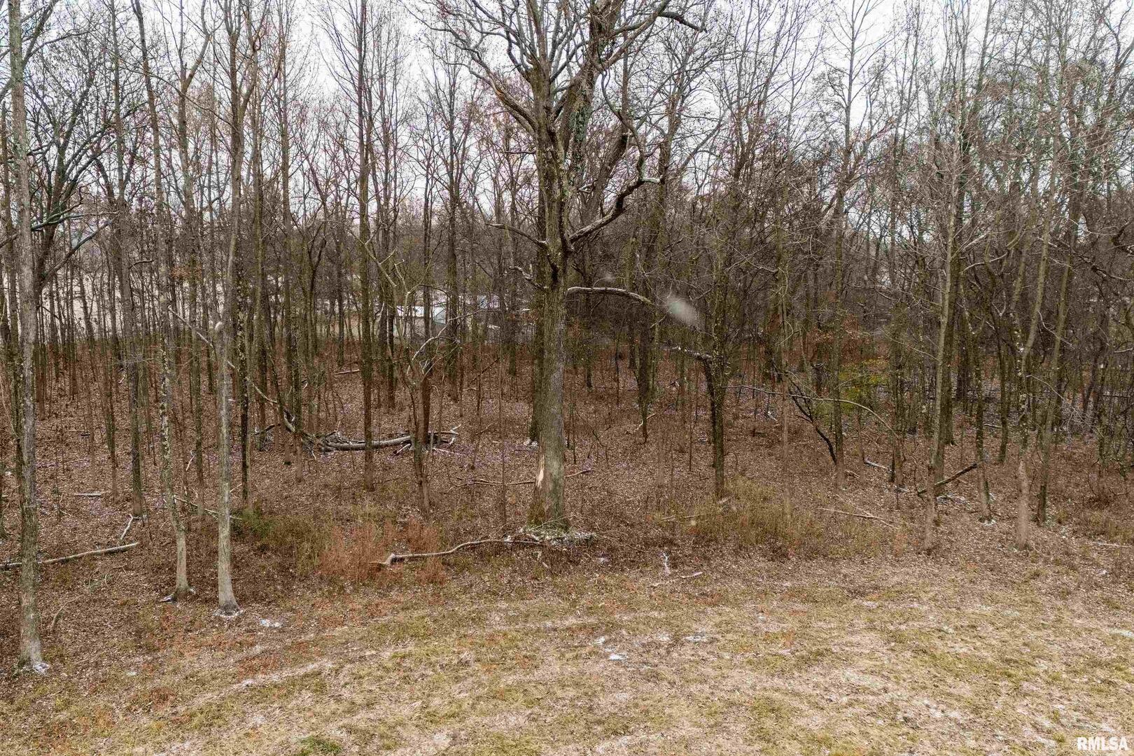 0 North Sparrow Lane Mount Vernon, IL 62864 - Photo 11 of 26 a view of pathway with a yard