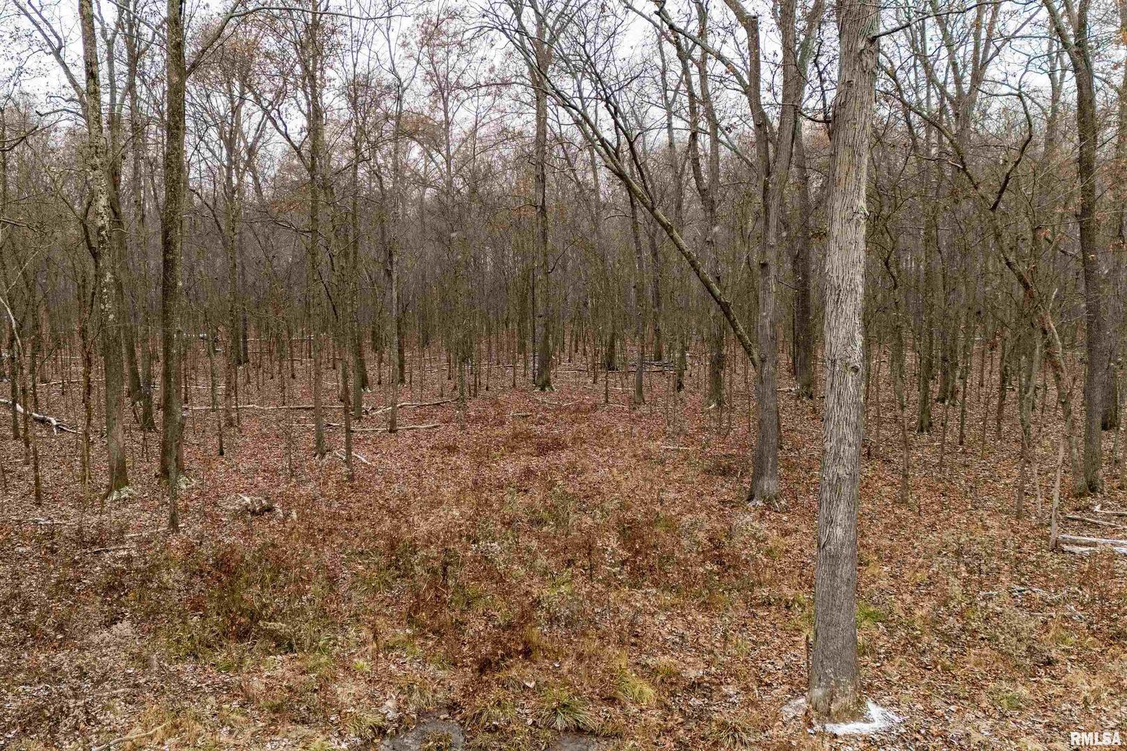 0 North Sparrow Lane Mount Vernon, IL 62864 - Photo 12 of 26 a view of outdoor space with trees