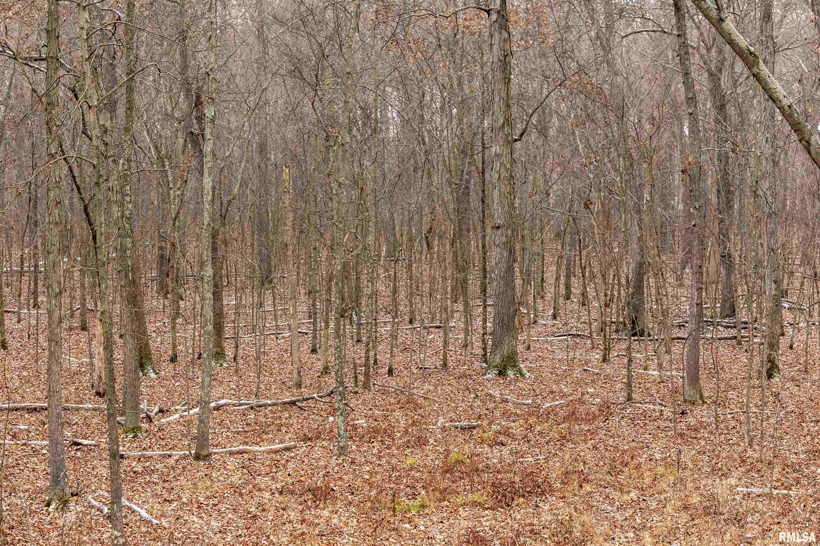 0 North Sparrow Lane Mount Vernon, IL 62864 - Photo 13 of 26 a view of wooden floor