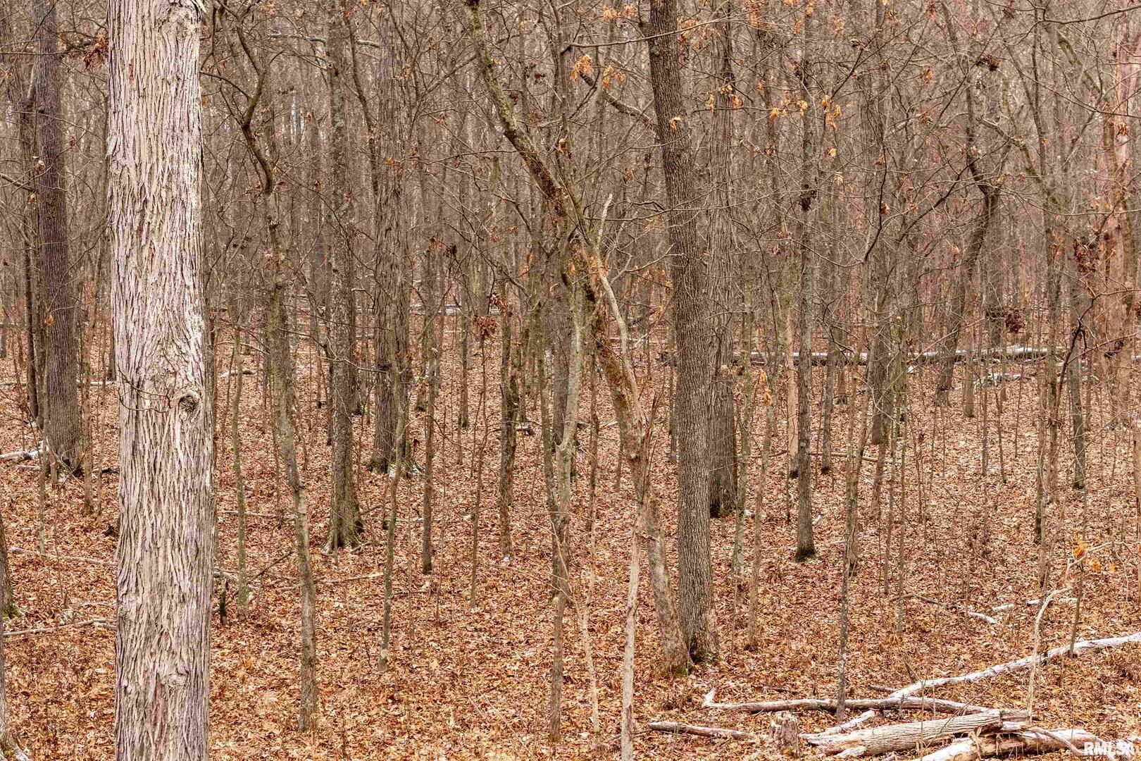 0 North Sparrow Lane Mount Vernon, IL 62864 - Photo 14 of 26 a close view of shower tap