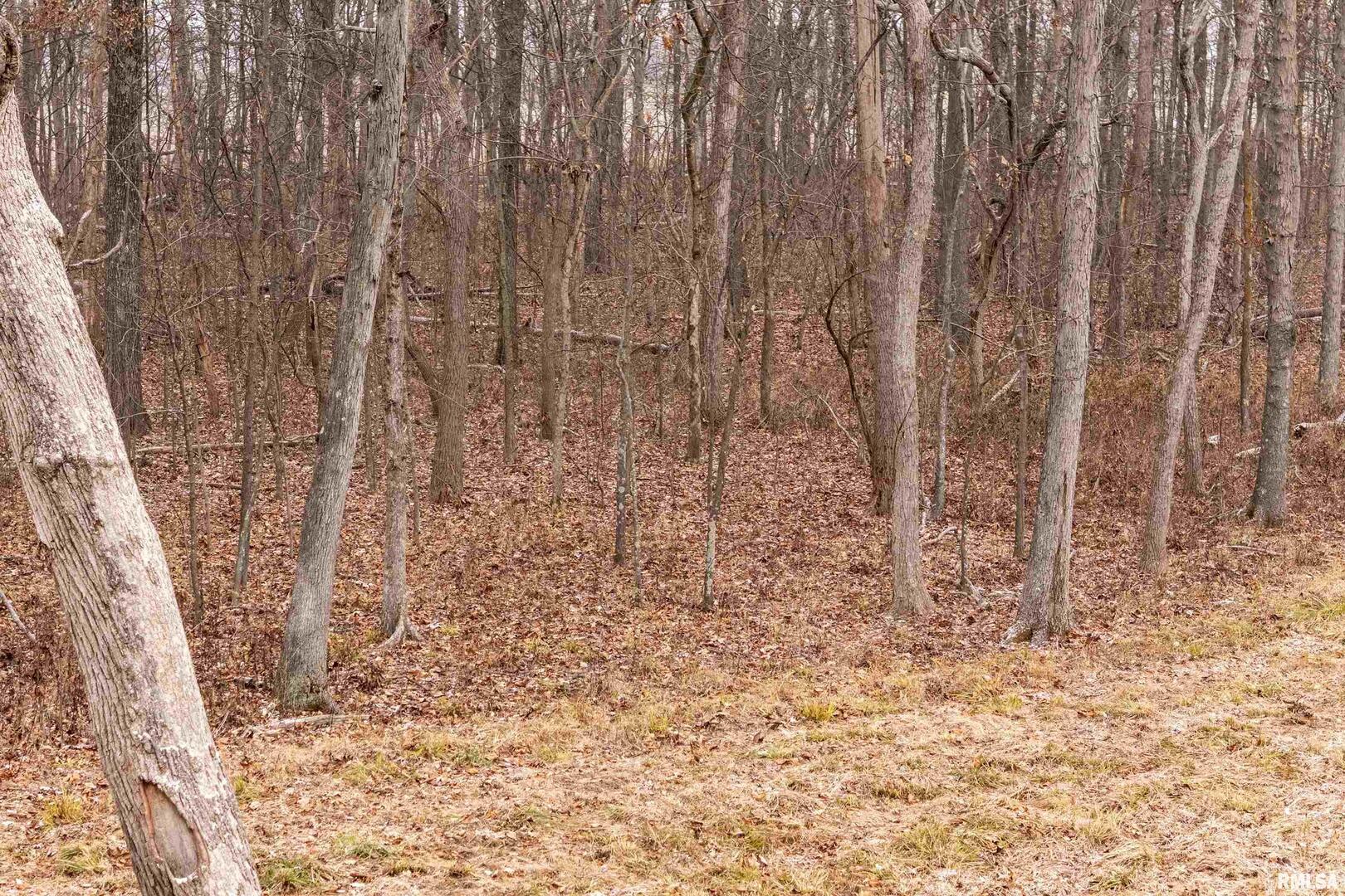 0 North Sparrow Lane Mount Vernon, IL 62864 - Photo 16 of 26