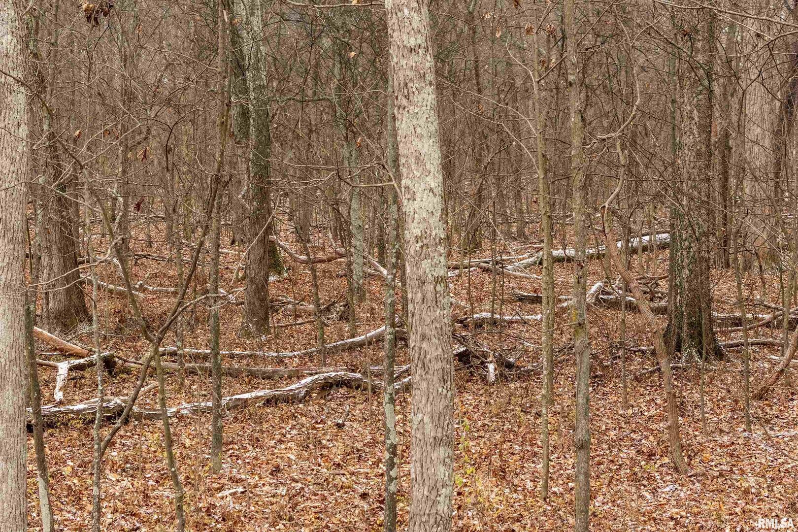 0 North Sparrow Lane Mount Vernon, IL 62864 - Photo 18 of 26 a bathroom with a shower