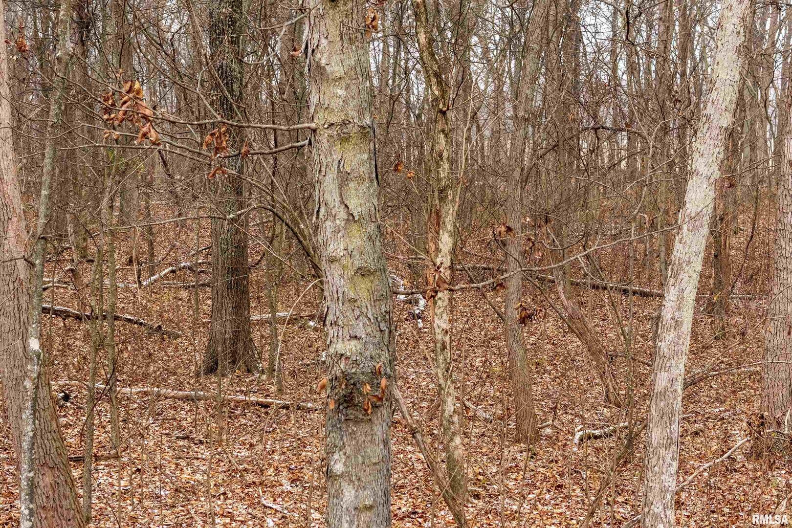 0 North Sparrow Lane Mount Vernon, IL 62864 - Photo 19 of 26 a bathroom with a shower