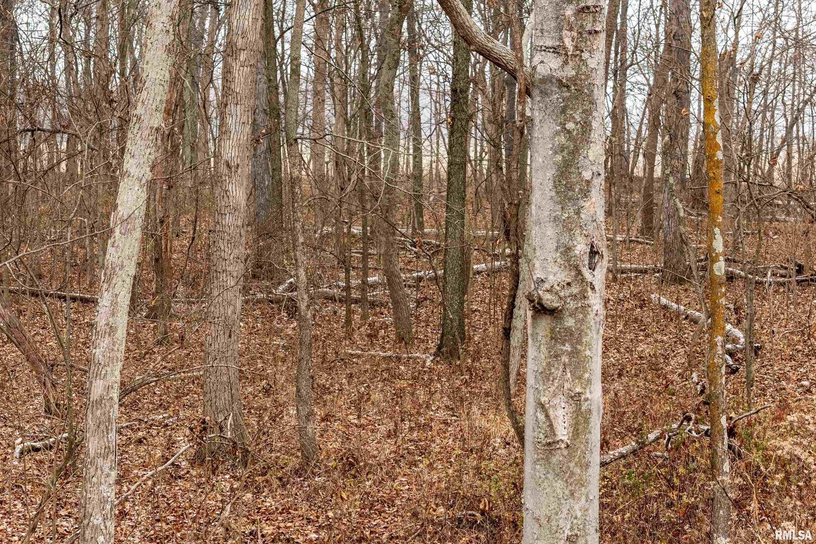 0 North Sparrow Lane Mount Vernon, IL 62864 - Photo 20 of 26 a bathroom with a shower curtain