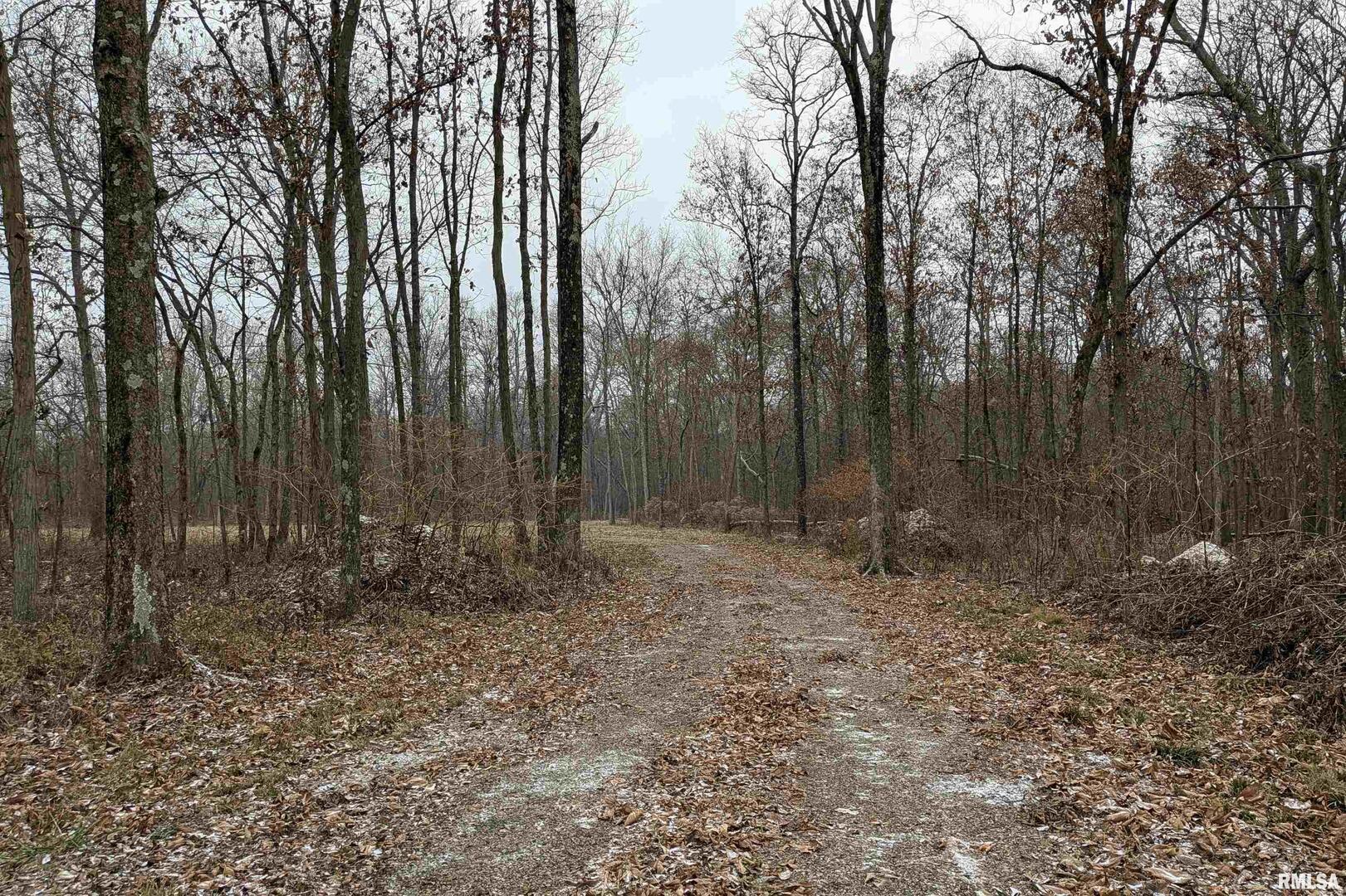 0 North Sparrow Lane Mount Vernon, IL 62864 - Photo 26 of 26 a view of outdoor space with green space