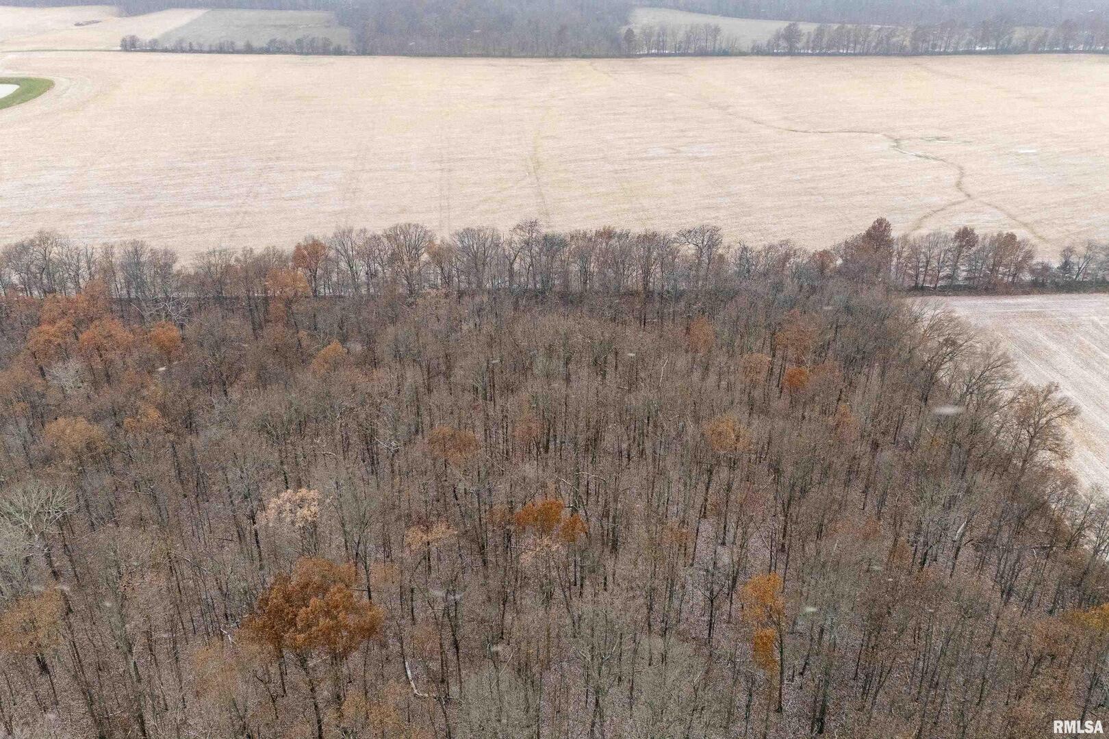 0 North Sparrow Lane Mount Vernon, IL 62864 - Photo 3 of 26 a view of a city and ocean view
