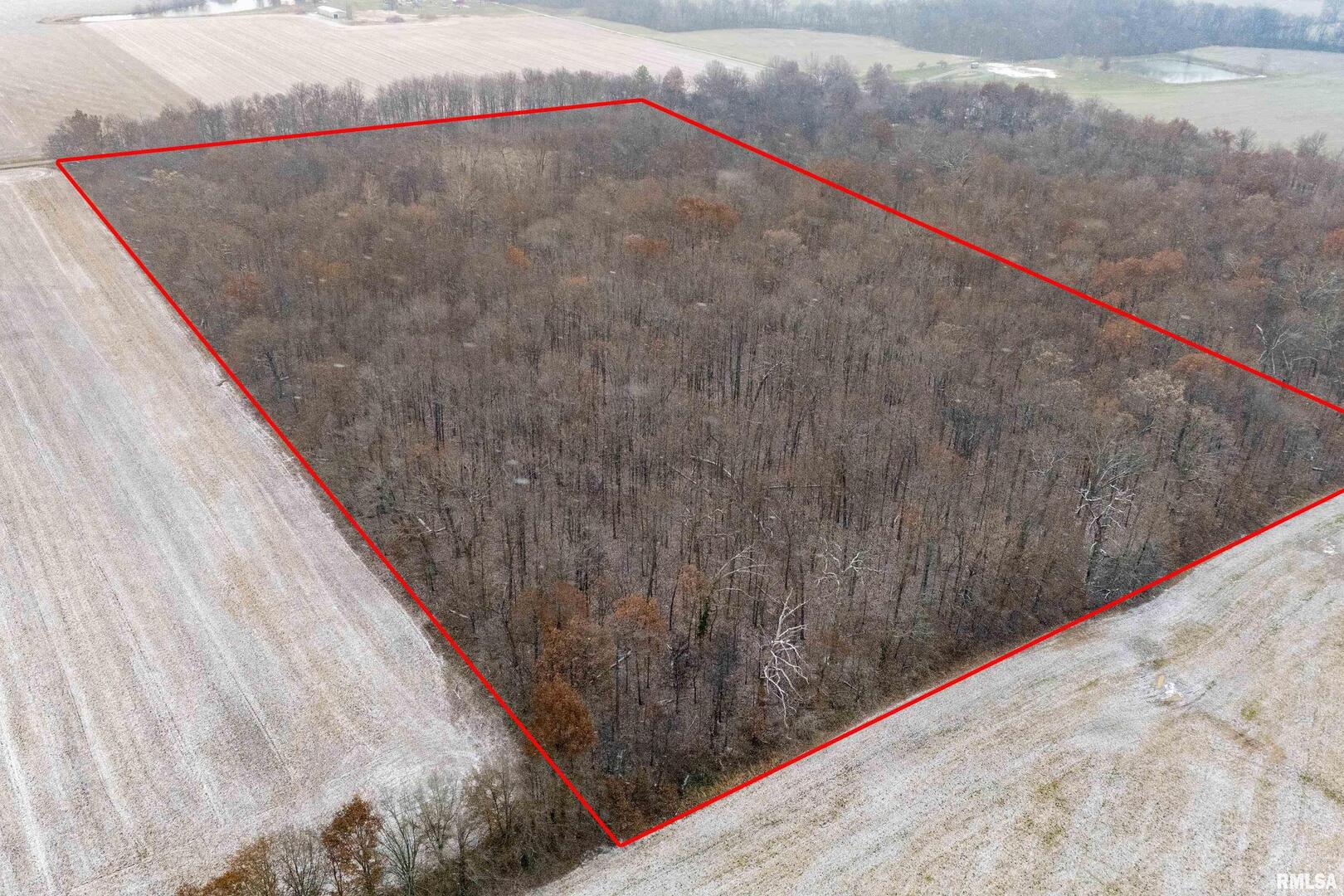 0 North Sparrow Lane Mount Vernon, IL 62864 - Photo 4 of 26 a view of wooden floor