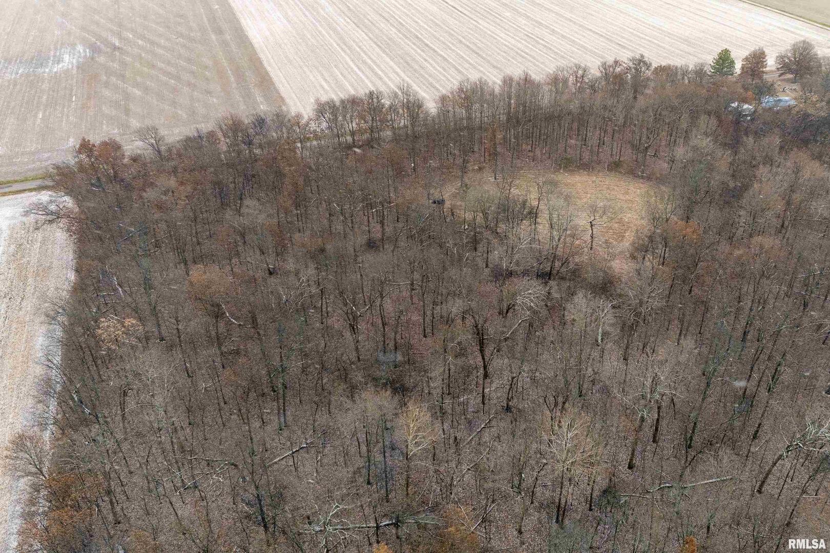 0 North Sparrow Lane Mount Vernon, IL 62864 - Photo 5 of 26 a view of a yard